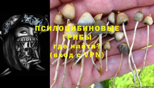 шишки Навашино