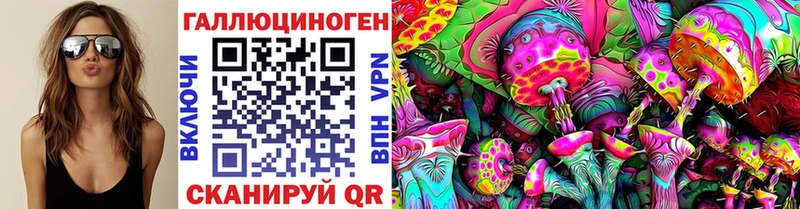 цена   Озёрск  Галлюциногенные грибы Psilocybine cubensis 